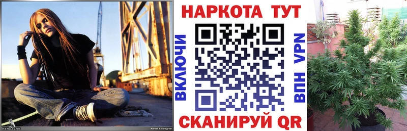 Виды наркотиков купить Томилино МАРИХУАНА  КОКАИН  СК  Амфетамин  Мефедрон 