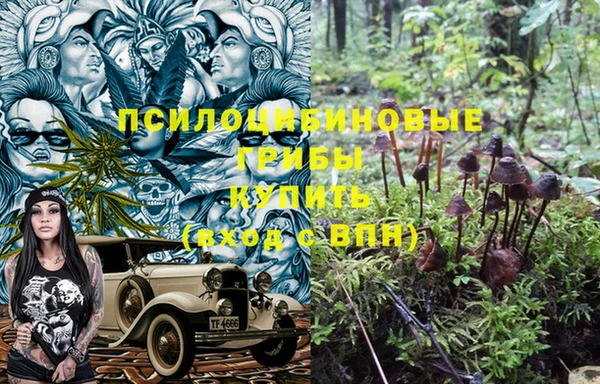 ALPHA-PVP Коряжма