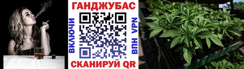 Бошки Шишки Amnesia  Томилино 